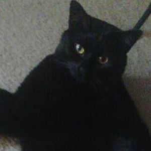 Meet your Posher, Holly